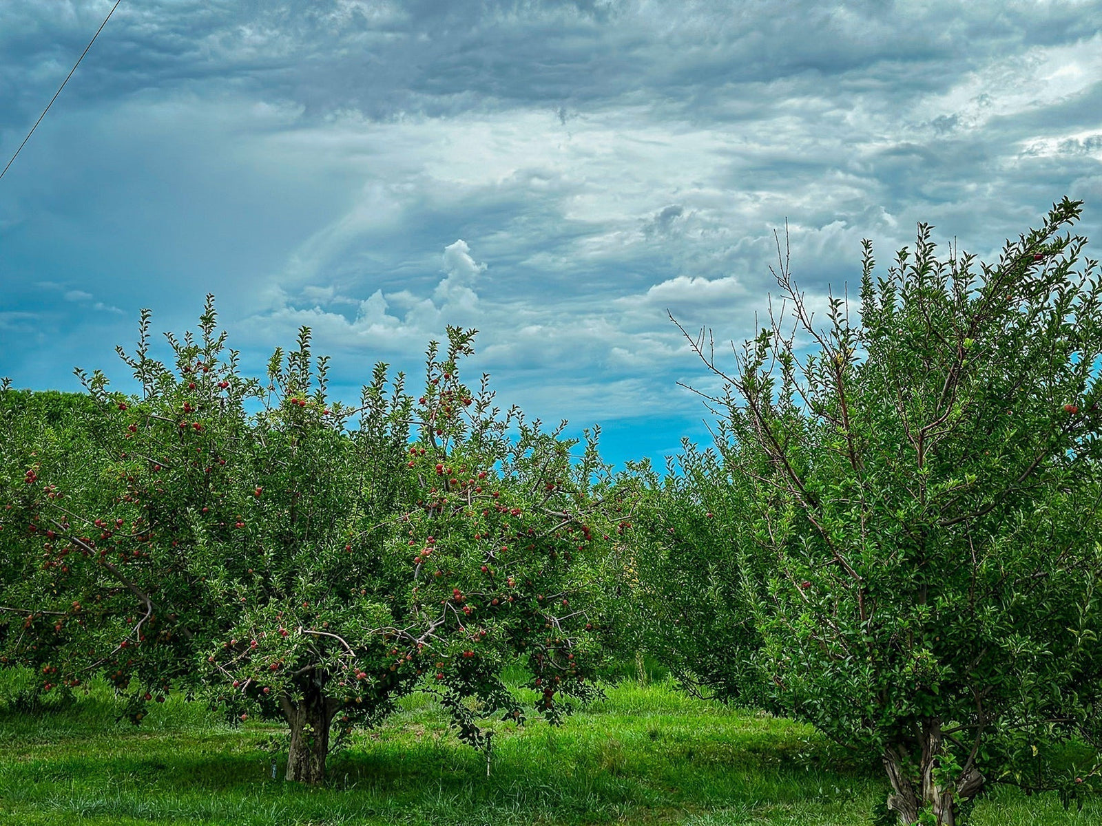 La producción y el Arte