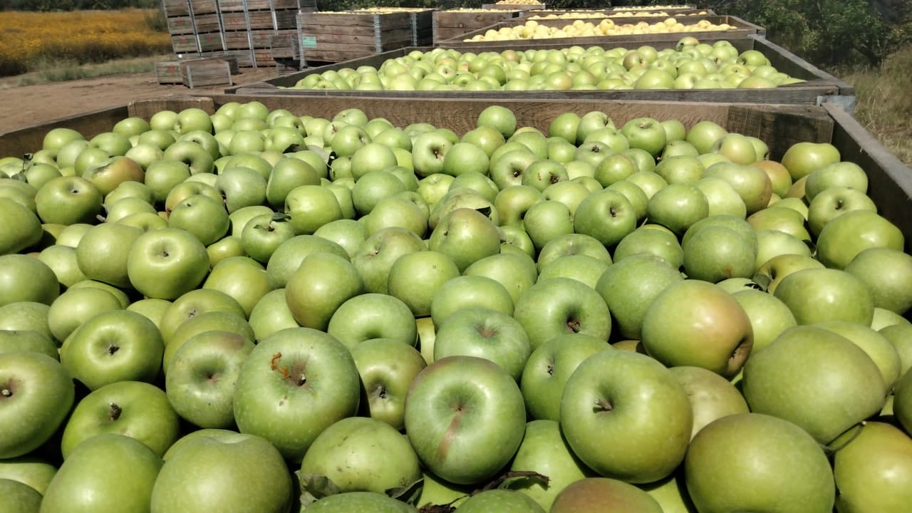 Vinagre de Sidra de Manzana