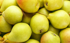 Sidra de Pera